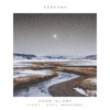 Snow Globe (feat. Axel Mansoor) - Single