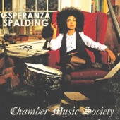 Esperanza Spalding - Little Fly