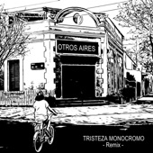Tristeza Monocromo (Remix) artwork