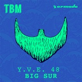 Big Sur (Extended Mix) artwork