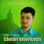 Iar Cand Fiul Omului artwork