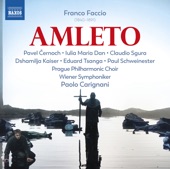 Faccio: Amleto (Live) artwork