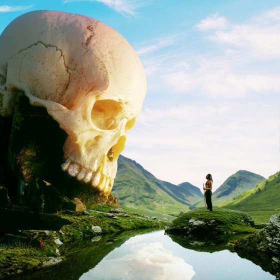 Cover artwork for 1000 Netter