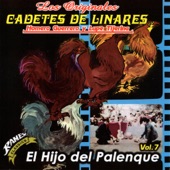 El Hijo del Palenque artwork