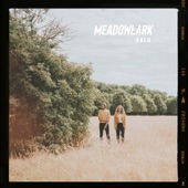 Meadowlark - Halo