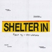 Shelter In (Live) artwork