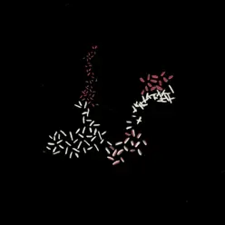 Tú para Mí Estás Muerto - Single - Bengala Tú para Mí Estás Muerto - Single - Bengala
