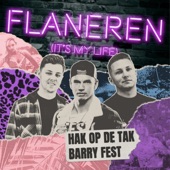 Flaneren (It's My Life) artwork