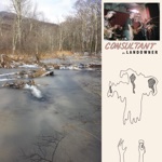 Landowner - This Could Mean Something