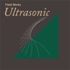 Field Works: Ultrasonic