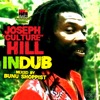Joseph "Culture"" Hill in Dub