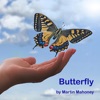 Butterfly - Single