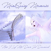 Mindspring Memories - Return to Heaven: Accepted
