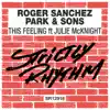 This Feeling (feat. Julie McKnight) [Radio Edit] song lyrics