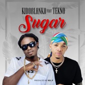 Sugar (feat. Tekno) artwork