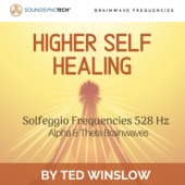 Higher Self Healing Solfeggio Frequencies 528hz SoundSyncTech™ Alpha & Theta Brainwave Frequencies artwork