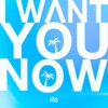 I Want You Now - Single
