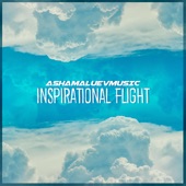 Inspirational Flight artwork