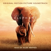 The Elephant Queen (Original Motion Picture Soundtrack) artwork
