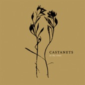 Castanets - The Night Is When You Can Not See
