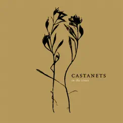 In the Vines by Castanets album reviews, ratings, credits