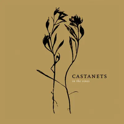 In the Vines - Castanets