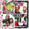 Aterciopelados - 15añera