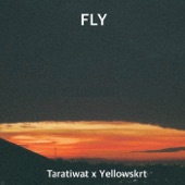 Fly artwork