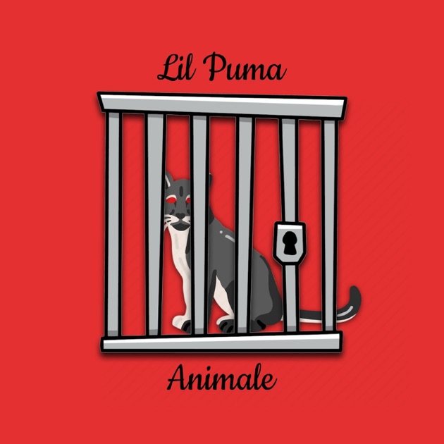 lil puma lil puma
