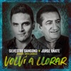 Volví a Llorar - Single