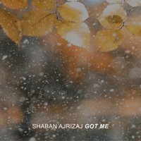 ℗ 2019 Shaban Ajrizaj, distributed by Spinnup