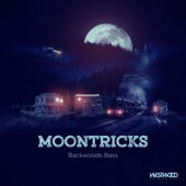 Moontricks - Space Oasis