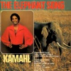 The Elephant Song - Single