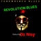 Revolution Blues (feat. Oz Noy) artwork