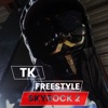 Freestyle Skyrock by TK iTunes Track 1