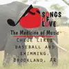 Chloe Likes Baseball and Swimming, Brookland, Ar - Single album lyrics, reviews, download