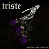 Triste (feat. Damn Dad & Zyme) - Single album lyrics, reviews, download