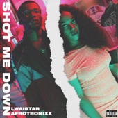 Shot Me Down (feat. Lwaistar) artwork