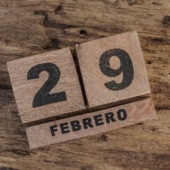 29 de Febrero artwork