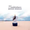 Meditation Brings Wisdom: 30 Meditation Music for Mindfulness, Soul Awakening, Spirituality album lyrics, reviews, download