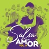 Salsa De Amor, Vol. 9