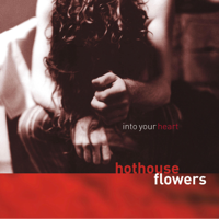 Hothouse Flowers - Into Your Heart artwork