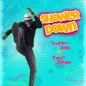 Shower Down (feat. Theon Zander) artwork