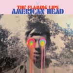 The Flaming Lips - When We Die When We're High