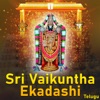 Sivaprasad & Jayashri - Namo Venkatesa Namo Thirumalesa