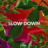 Slow Down - Single