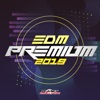 EDM Premium 2019, 2019