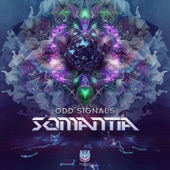 Odd Signals artwork