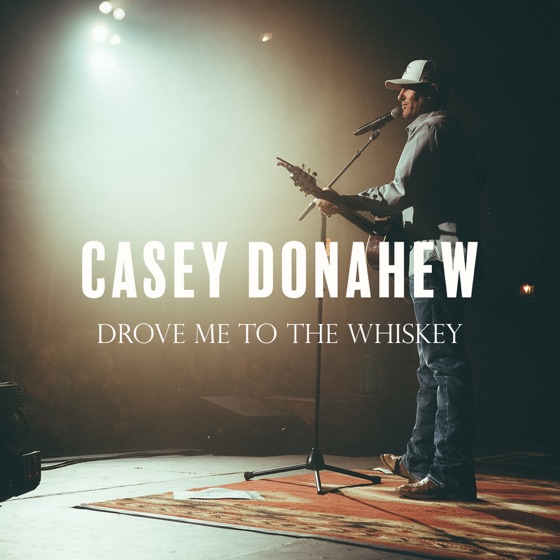 Cover artwork for Drove Me to the Whiskey