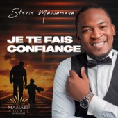 Je te fais confiance artwork